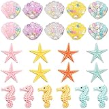 RoadLoo Muschelmix Dekomuscheln, 24 Stücke Natürliche Conch Maritime Deko Strand Thema Party Hochzeit Dekor Muscheln Basteln Seestern für Micro Landschaft Dekoration Aquarium H