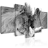 decomonkey Bilder Löwe Afrika 200x100 cm 5 Teilig Leinwandbilder Bild auf Leinwand Wandbild Kunstdruck Wanddeko Wand Wohnzimmer Wanddekoration Deko Tiere Wildlife N
