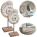 LS-LebenStil 2X Mango Holz Deko Objekt Muschel mit Sockel Skulptur Maritim Set 2 S