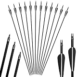 12pack 31 inch Pfeile Bogenschießen Jagd Fiberglas Ersatz Screw-In Jagdspitzen für 20-55lbs Verbindung Recurve Bow