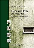 Algen und Pilze an Fassaden: Ursachen und Vermeidung