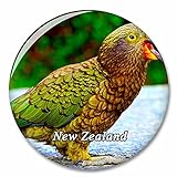 Neuseeland Kea Bergpapagei Kühlschrank Magnete Dekorative Magnet Flaschenöffner Tourist City Travel Souvenir Collection Geschenk Starker Kühlschrank Aufkleb