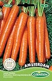 Germisem Möhren AMSTERDAM, mehrfarbig, EC9017