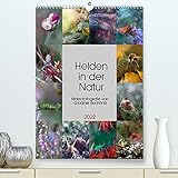 Helden in der Natur (Premium, hochwertiger DIN A2 Wandkalender 2022, Kunstdruck in Hochglanz)