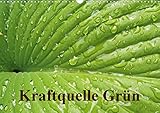 Kraftquelle Grün (Wandkalender 2021 DIN A3 quer): Grün ist die Farbe der Hoffnung, deshalb wird das junge Frühlingsgrün auch immer besonders ... (Monatskalender, 14 Seiten ) (CALVENDO Natur)