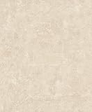 rasch Tapete 467543 aus der Kollektion Vincenza – Vliestapete in Beige im Beton-Design – 10,05m x 53cm (L x B)