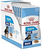 Royal Canin Maxi Puppy Junior Nassfutter für Hunde, 40 Packungen je 140 g, speziell entwickelt für junge und wachsende große Hunderassen bis 15 M