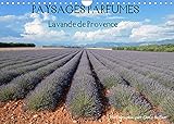 Paysages parfumés - Lavende de Provence (Calendrier mural 2022 DIN A4 horizontal)