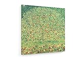 weewado Gustav Klimt - Apfelbaum I - ca. 1912 80x80 cm Leinwandbild auf Keilrahmen - Wandbild, Poster, Kunst, Gemälde, Foto, Bild auf Leinwand - Alte Meister/M