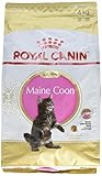 ROYAL CANIN Katzenfutter Feline Kitten Maine Coon 36, 4 kg, 1er Pack (1 x 4 kg)