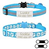 Uiopa 2 Stück Katzenhalsband mit Sicherheitsverschluss + 2 Stück Hundemarke mit Gravur, Verstellbar Halsband Katzenhalsband mit Namen, Katzen Halsbänder mit Glöckchen für Hund/Katze (Himmelblau)