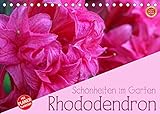 Rhododendron Schönheiten im Garten (Tischkalender 2022 DIN A5 quer)