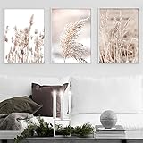 RAILONCH Premium 3er Poster Set, Beige Pampas Bilder Set, ohne Bilderrahmen, Moderne Bilder Wanddeko, Wandbilder für Wohnzimmer Schlafzimmer (50x70cm)