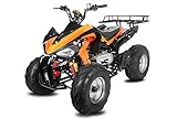 Nitro Motors AKP Carbon 150cc Quad 10' Automatik CVT + Rückwärtsgang Offroad Bike ATV (Rot)