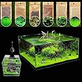 600Pcs A Aquatics Wassergraspflanze Samen Aquarium Aquarium Landschaftsdekoration Wasser Grassamen 600 Stück