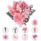 Ulikey Natürliche Getrocknet Blumen, Mehrfarbige Getrocknete Blumen, Bastelblumen, Natürliche Gemischte Echte Getrocknete Gepresste Blumen DIY Basteln Scrapbooking Karten Machen (Rosa)