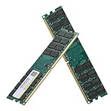 Yoidesu DDR2 4GB 800MHZ für Intel DDR2 PC2 RAM DDR2 RAM 4GB Speicher DDR2 PC2-6400 4GB für Intel Computerspeicher 240-poliger 4G-DDR2-Speicher, für DDR2 PC2-6400 Desktop-Computer, für AMD Motherb