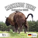 Kackende Tiere Kalender 2022: Das lustige Geschenk für Männer Frauen Freunde Kollegen Weihnachten Geburtstag Valentinstag & Mehr (Mit Deutschen Feiertagen)