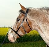 Horka Cavecon, französisch-iberischer Kappzaum, Vollb