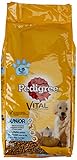 Pedigree Hundefutter Trockenfutter Junior mit Huhn und Reis, 1 Beutel (1 x 15kg)