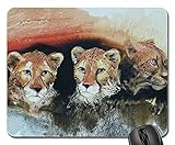 Mauspad Südafrika Afrika Bild-Kunst Cheetah Safari Office Mauspad Rutschfest Office Mat Reibungslos Mousepads Matte Für Office Cadeau Computer 25X30C