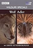 Wildlife Specials 01 - Wolf /