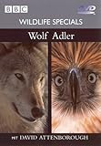 Wildlife Specials 01 - Wolf /