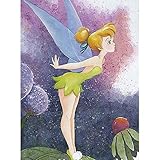 Erwachsene Kreuzstich Stickpackungen Engelsprinzessin Tinkerbell 40x50 cm Zum Sticken Starter Set FüR Kinder AnfäNg