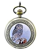 Unendlich U Elegant Retro Handaufzug Mechanische Taschenuhr mit Eule auf Schneeberg Hohle Skelett Kettenuhr Pullover Halskette B