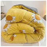 RRNAR Kaschmir Steppdecken Decke 4-Jahreszeiten Bettdecke Verdicken Lamm Bettdecke Mikrofaser Steppdecken Warmes Vierjahreszeiten Oberbett,A,200x230cm（5kg）