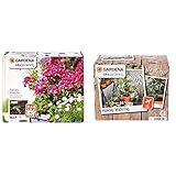 Gardena City Gardening Balkon Bewässerung: Blumenkastenbewässerungs-Set, für bis zu 25/5-6 m Balkonkästen, 13 Programme (1407-20) & City Gardening Urlaubsbewässerung: Pflanzenbewässerungs-S