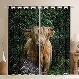 Loussiesd Braunes Hochlandkuh Vorhänge Bauernhausrind Stier Blickdichte Vorhänge Wild Western Dekor Fenstervorhang 245x140cm für Kinder Jungen Mädchen Grüne Baumblätter Natur Raumdek