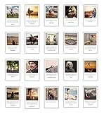 Achtsamkeit, Lebensweisheiten, inspirierende Zitate mit Bildern 20 verschiedene Postkarten Set im'Polaroid' Desig