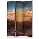 murando Raumteiler & Pinnwand Foto Paravent Landschaft 135x172 cm beidseitig auf Vlies-Leinwand Bedruckt Trennwand Spanische Wand Sichtschutz Raumtrenner Design Meer Strand Sommer Sonne c-C-0265-z-b