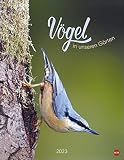Vögel in unseren Gärten Posterkalender 2023 - Wandkalender vielen Fotos und informativen Texten - mit Monatskalendarium - 34 x 44