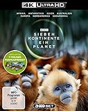 Sieben Kontinente - Ein Planet (4K UHD). Limited Edition mit Postkarten-Set - (exklusiv bei Amazon.de mit 7-teiligem Postkarten-Set) [Blu-ray]