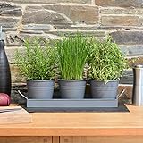 Ckb Ltd Pflanztöpfe für Kräuter, Metall, mit Abtropfschale, traditioneller Fensterbank, für die Küche, zum Anpflanzen eigener Kräuter zum Kochen, 3 Stück