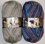 Opal/Sockenwolle / 4 ply/fädig / 2 x 100g. / Regenwald 17/2021 / Opalwolle/Rofu/Regia/Action/Kik