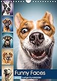 Funny Faces - Lustige Hundebilder (Wandkalender 2022 DIN A4 hoch)