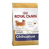 Maltby's UK Royal Canin Chihuahua-Hundefutter für ausgewachsene Hunde, 9 kg (3 x 3 kg)