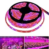 Tesfish LED Pflanzen wachsen Streifen Licht DC 12V IP65 Wasserdicht Vollspektrum SMD 5050 rot blau 5: 1 Seil Licht für Aquarium Gew