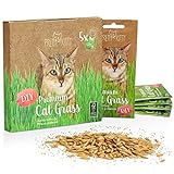 Premium Katzengras Saatmischung: 5 Beutel je 25g Katzengras Samen für 50 Töpfe fertiges Katzengras – Eine grüne Katzen Wiese – Natürliche Katzen Leckerlies – Pflanzen Samen - Grassamen PRETTY KITTY