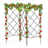 Primlisa Rankgitter 3er Set - Metall Rankhilfe Für Kletterpflanzen | Spalier Rosen Gitterspalier Wandbefestigung Pflanzengitter Rankleiter Für Garten | Multifunktionaler G