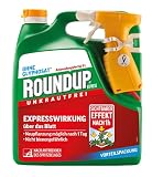 Roundup Express Unkrautfrei, Anwendungsfertiges Spray zur Bekämpfung von Unkräutern, Gräsern und Moos, 3 Liter Sprühsy