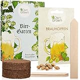 Bier Geschenk Set: Hopfen Samen Set für die Anzucht von 5 Hopfen Pflanzen – Die Hopfen Pflanze als Bier Geschenkset – Geschenk für Männer zum Geburtstag, Weihnachtsgeschenke für Männer von OwnGrow