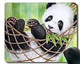 Yanteng Mauspad mit genähter Kante, Pandas Baby Tier Hängematte Riesenpanda Kunst, Mausmatte, rutschfeste Gummibasis Mousepad für Laptop, Comp