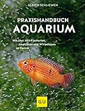 Praxishandbuch Aquarium: Mit über 400 Fischarten, Amphibien und Wirbellosen im Porträt. Der Bestseller jetzt komplett neu überarbeitet (GU Standardwerk)