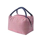 AQIN Kühltasche Klein,Mini Kühltasche,Isoliertasche,Thermotasche-Kühlbox Klein, Kühlrucksack-Tragbare Lunch Bag Lebensmittelbehälter Outdoor Haus Supplies für die Arbeit Schule (Rosa)