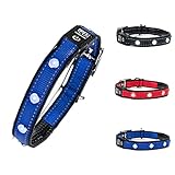 BI INTERNATIONAL ® Hundehalsband Leuchtend & Aufladbar - Wasserdichtes LED Leucht-Halsband für Hunde aus Verstärktem Nylon - Hochwertig & Sicher Dank Innovativem Metallverschluss (S, Blau)