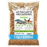 MeerBach & Rose Vers de Farine Séchés-1 kg=6500ml-Nourriture pour poissons, oiseaux Tortues, Hérissons, Rongeurs et Rep